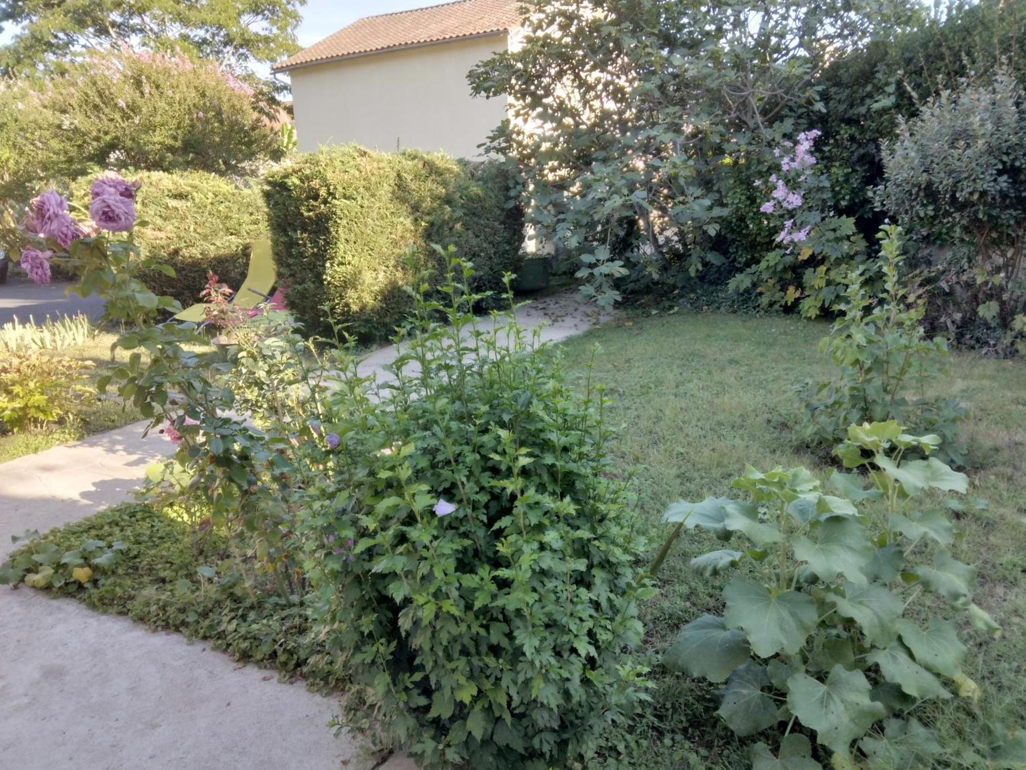 Chambre D'Hote Dans Maison Privee Périgueux Εξωτερικό φωτογραφία